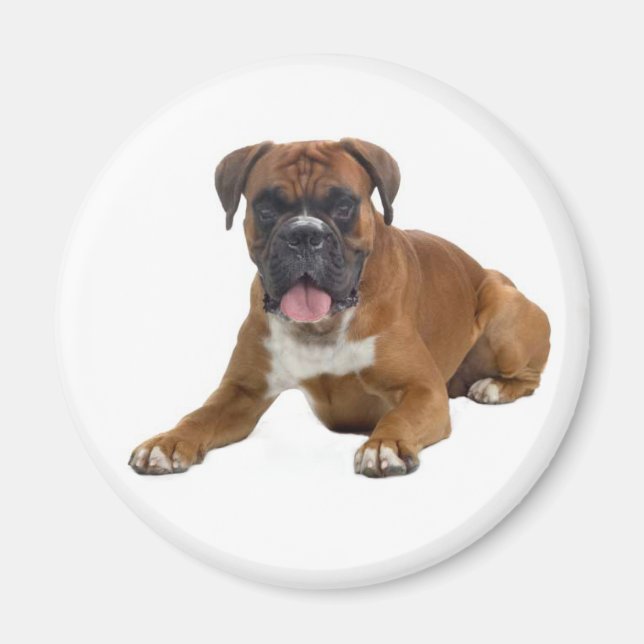 Boxer Puppy Dog Fridge Magnet (Front)