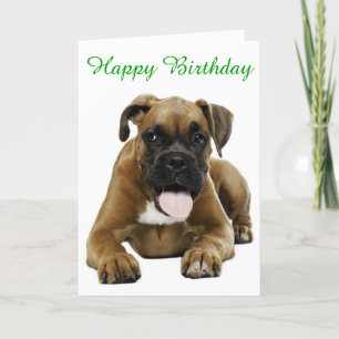 Boxer Puppy Dog  Happy Birthday Card  - Verse