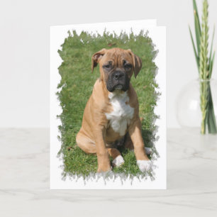 Boxer Puppy Greeting Card