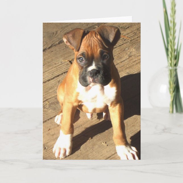 Boxer Puppy greeting card (Front)