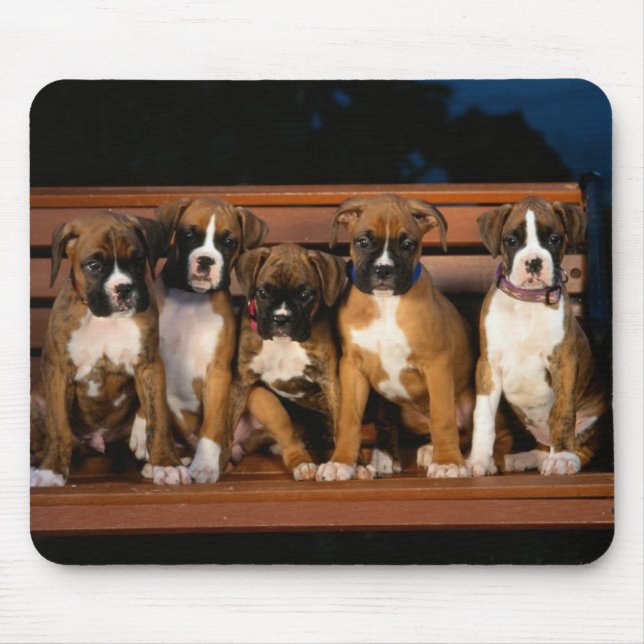 boxer puppy mouse pad (Front)