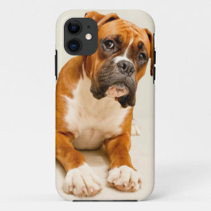 Boxer puppy on ivory cream backdrop. iPhone 11 case