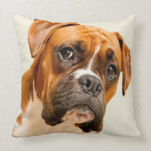 Boxer puppy on ivory cream backdrop. cushion