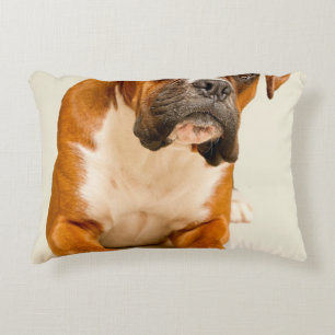 Boxer puppy on ivory cream backdrop. decorative cushion