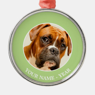 Boxer puppy on ivory cream backdrop. metal tree decoration