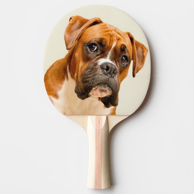 Boxer puppy on ivory cream backdrop. ping pong paddle (Front)