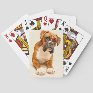 Boxer puppy on ivory cream backdrop. playing cards