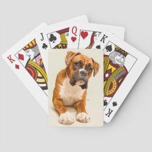 Boxer puppy on ivory cream backdrop. playing cards