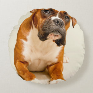 Boxer puppy on ivory cream backdrop. round cushion