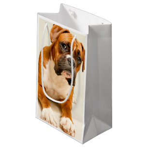 Boxer puppy on ivory cream backdrop. small gift bag