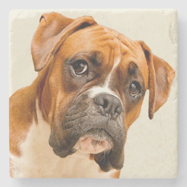 Boxer puppy on ivory cream backdrop. stone coaster (Front)