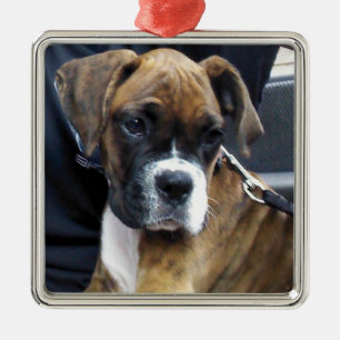 BOXER PUPPY ornament