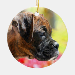 Boxer puppy ornament