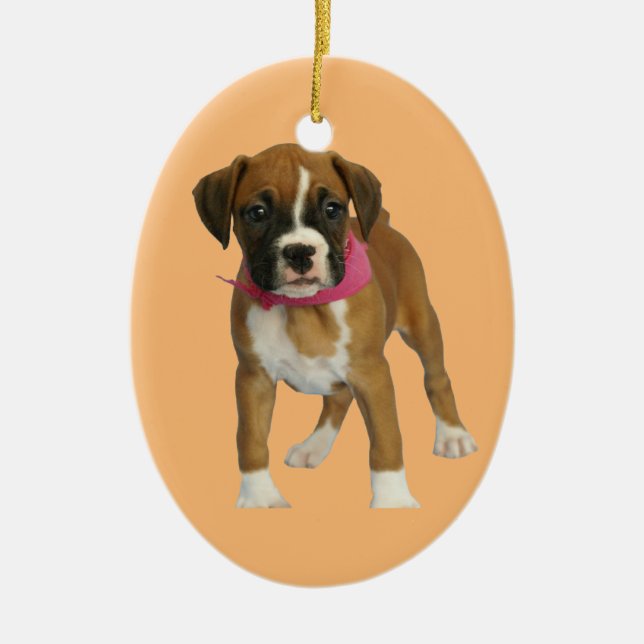 Boxer Puppy Oval Ornament (Front)