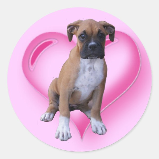 Boxer puppy sticker (Front)