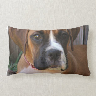 Boxer Rescue Pillow