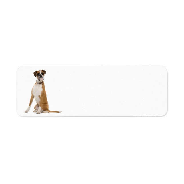 Boxer Return Address Labels (Front)