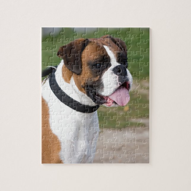 Boxer Sitting Jigsaw Puzzle (Vertical)