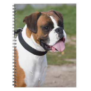 Boxer Sitting Spiral Notebook