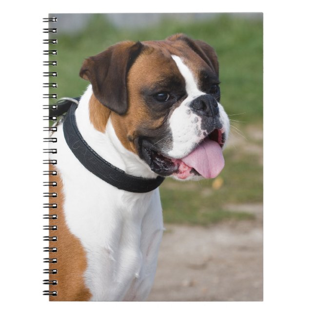 Boxer Sitting Spiral Notebook (Front)