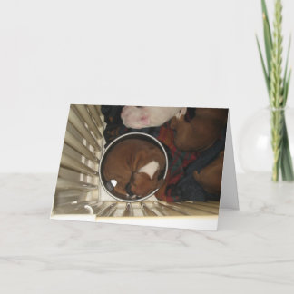 Boxer Sleeping in Food Bowl Birthday Card
