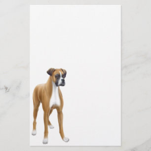 Boxer Stationery