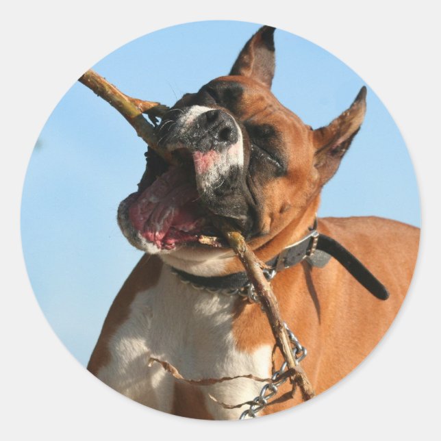 Boxer stickers (Front)