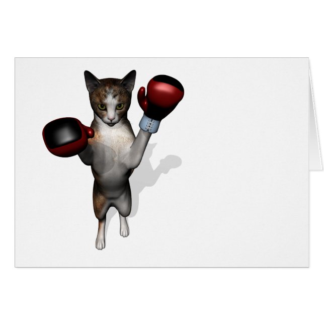 Boxer Tabby (Front Horizontal)