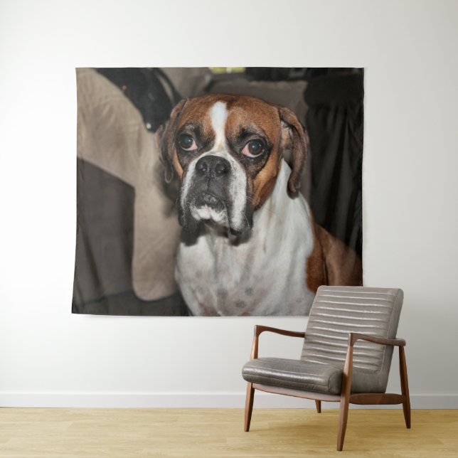 Boxer Tapestry (In Situ (Horizontal))