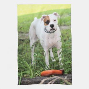Boxer tea towel
