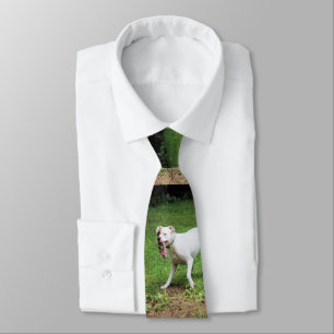 Boxer Tie