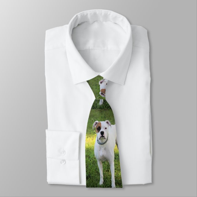 Boxer Tie (Tied)