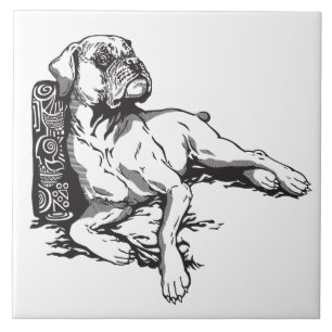 boxer tile