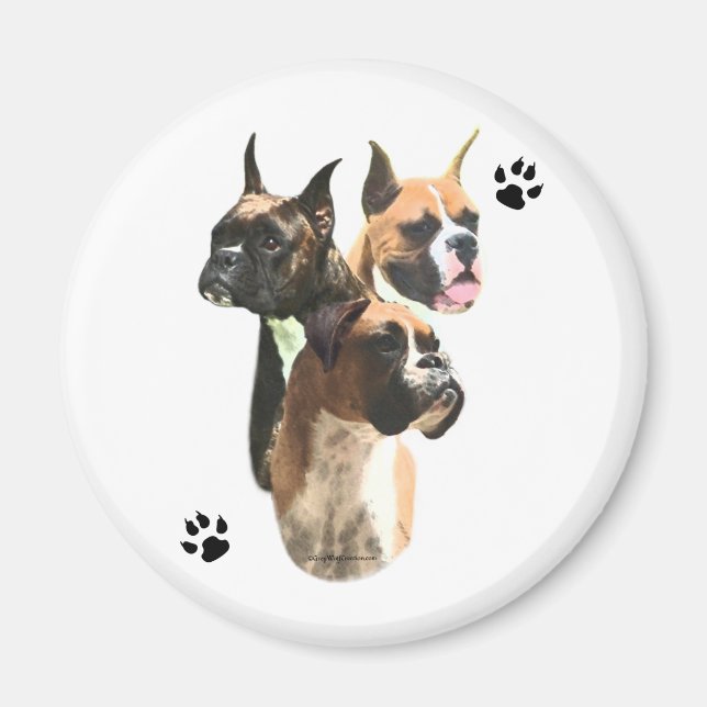 Boxer Trio - Magnet (Front)