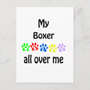 Boxer Walks Design Postcard
