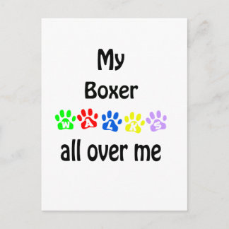 Boxer Walks Design Postcard