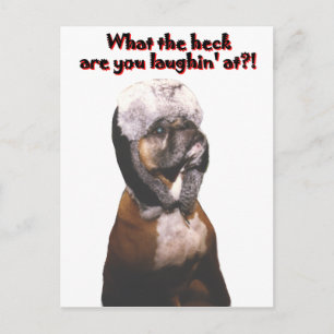 Boxer: What the Heck! Postcard