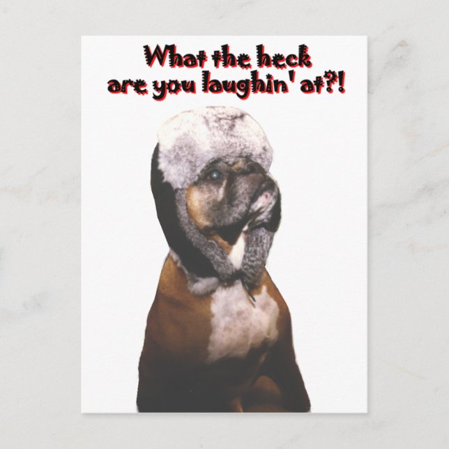 Boxer: What the Heck! Postcard (Front)