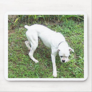 Boxer White Puppy full Mouse Pad