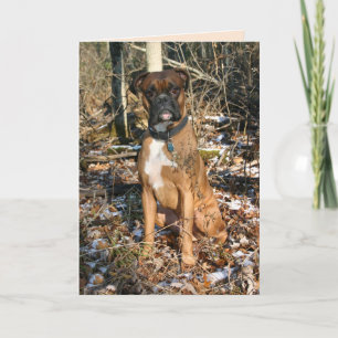 Boxer Woods Walk Card