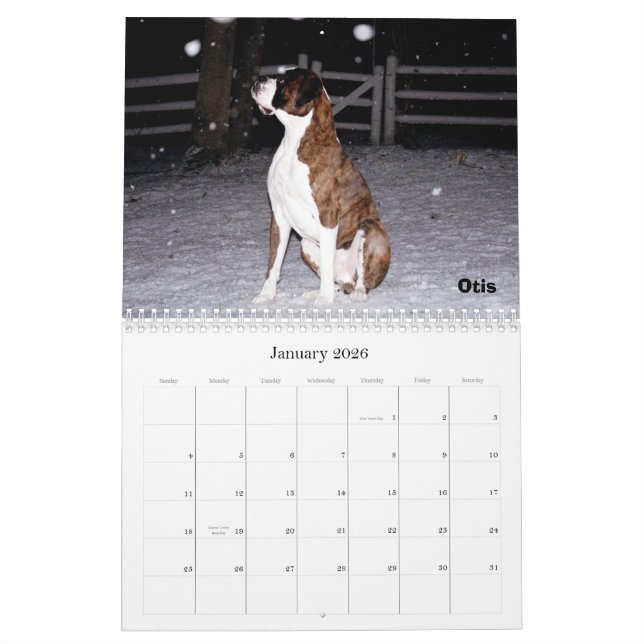 BoxerCrazy 2009 Calendar (Jan 2026)