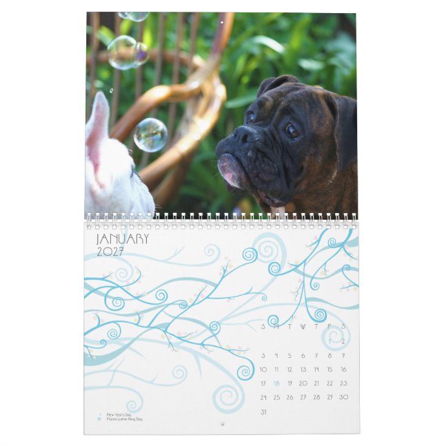 Boxers 2011 Calendar (Jan 2027)