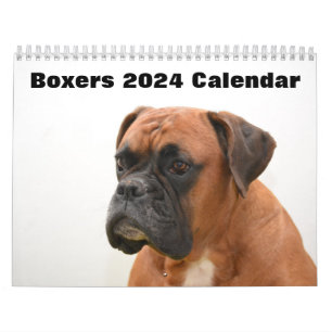 Boxers Dogs 2024 Calendar
