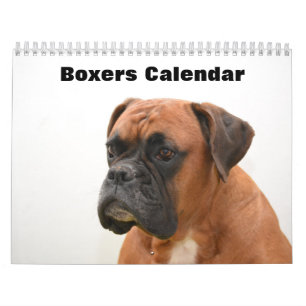Boxers Dogs 2025 Calendar