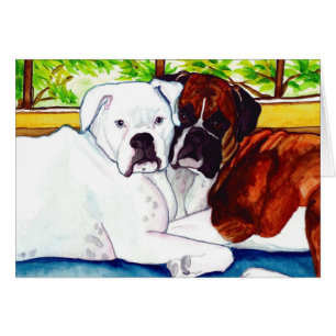 Boxers Fawn and White