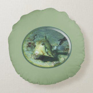Boxfish - so Cute! Photograhic Design of Cowfish | Round Cushion