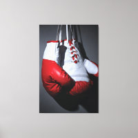 Boxing gloves