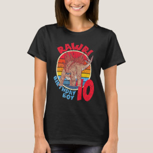 Boy 10th Birthday I Rawr  Stegosaurus I Family Mat T-Shirt