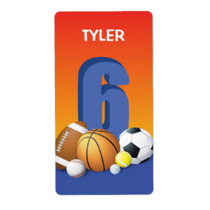 Boy 6th Birthday Sports Balls