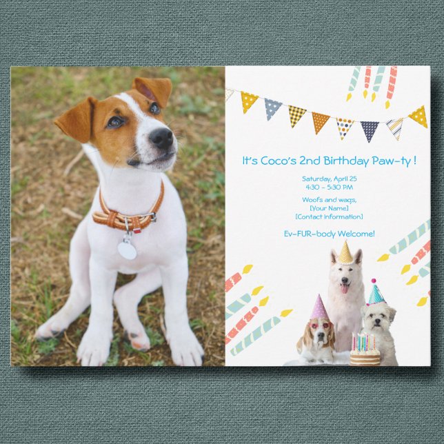 Boy Dog Birthday Party photo Invitation (Creator Uploaded)
